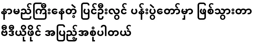 Full video of what happened at the famous Pyin Oo Lwin Flower Festival