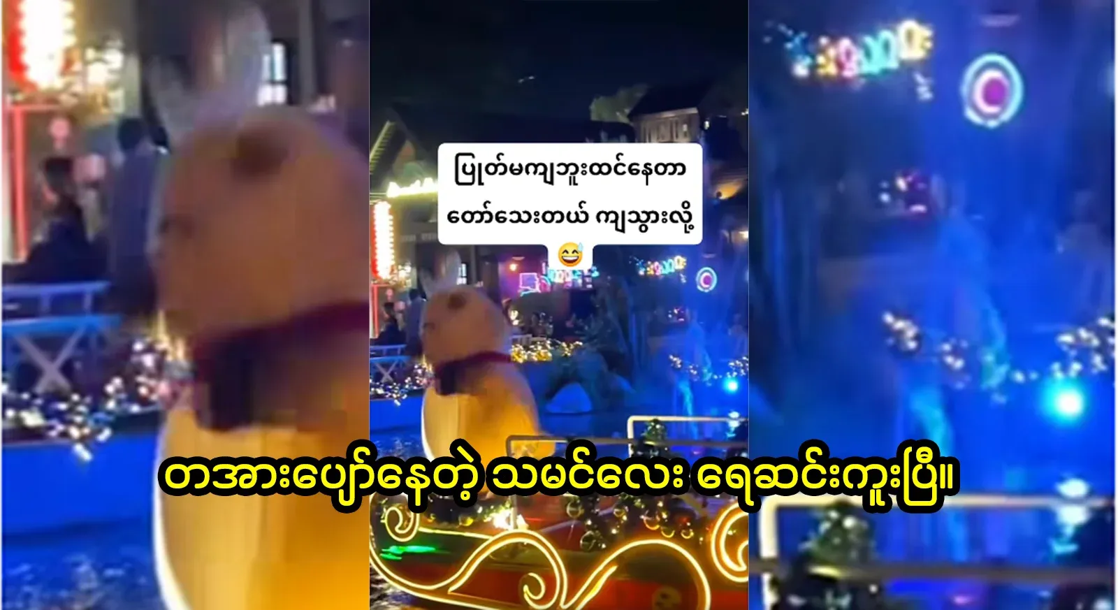 A happy deer has swum from the stream, I went diving