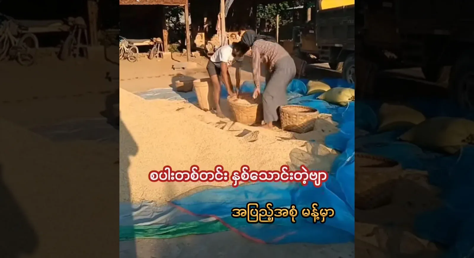 At a time when the price of wheat is so high, farmers are struggling.