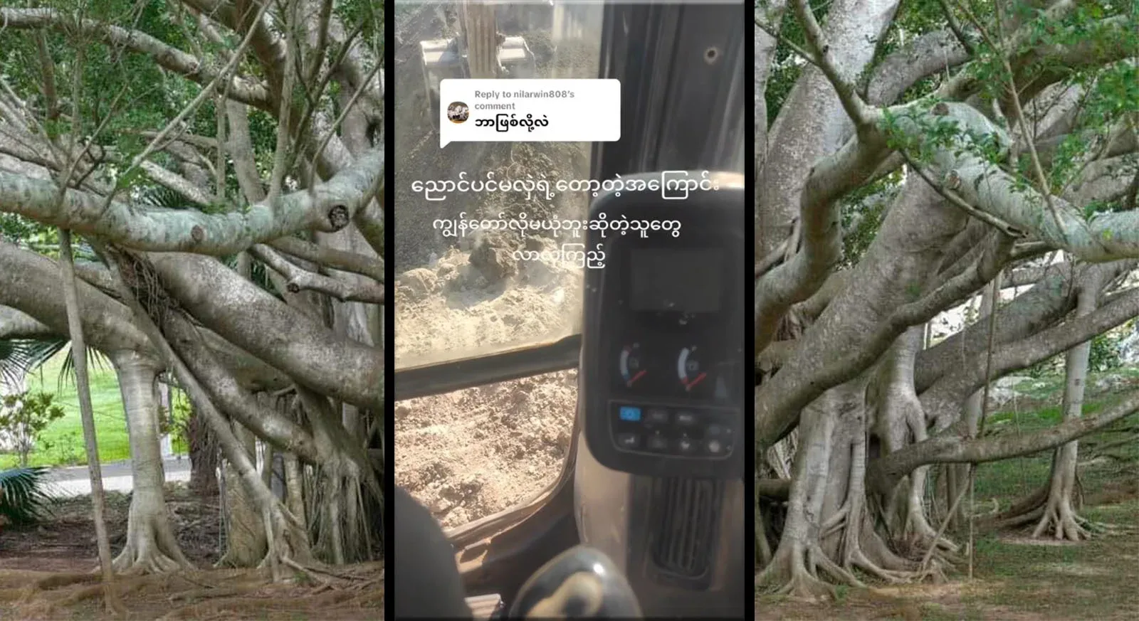 The teacher of Bat Po didn't even dare to give up because of a world that he couldn't even believe