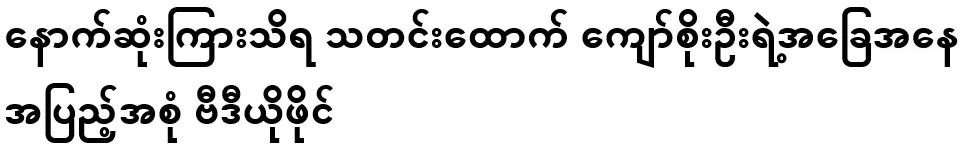 Full video of journalist Kyaw Soe Oo's condition last heard