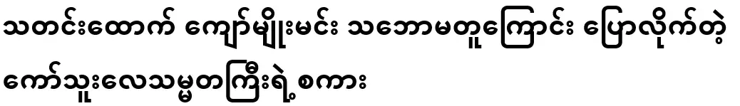 Reporter Kyaw Myomin disagreed with President Ko Thuley's words