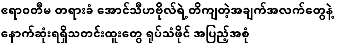 Latest news and accurate information of the Irrawaddy victim Aung Thi Habol