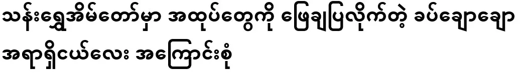 About the handsome little officer who opened the packages at Than Shwe House