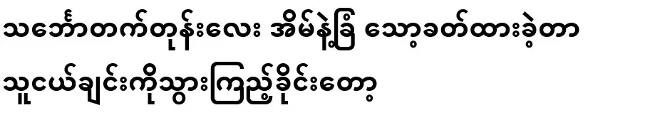 The house and yard were locked while the ship was still on board, so I asked my friend to go see