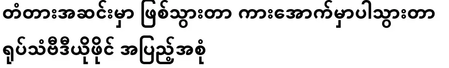 Video footage of what happened at the bottom of the bridge