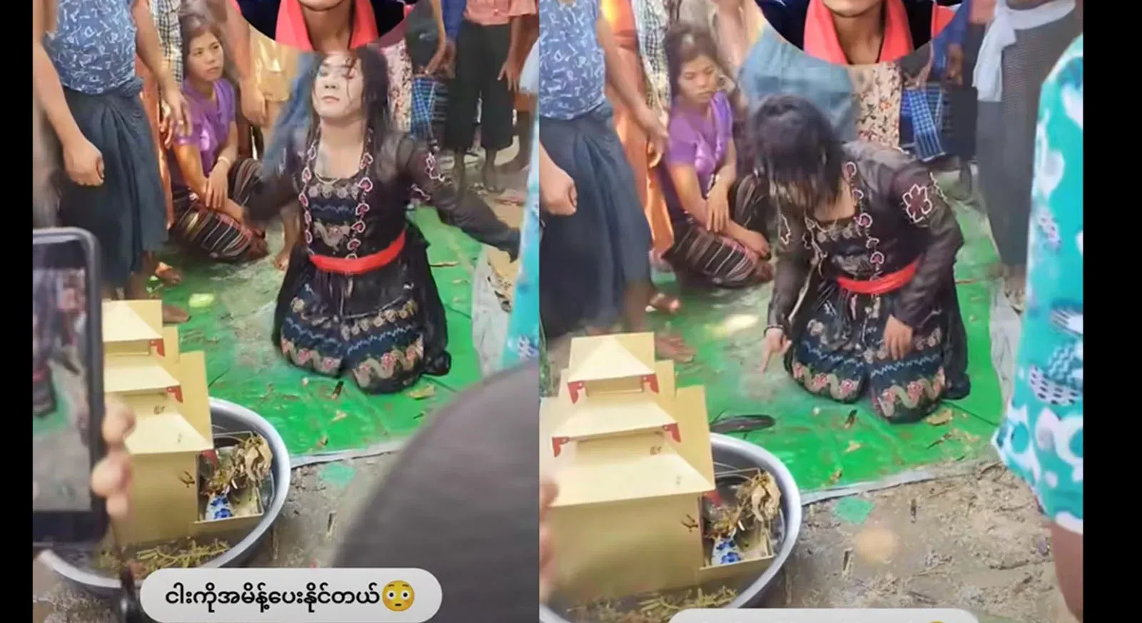 Attached video file that allows you to order fish among the latest oddities