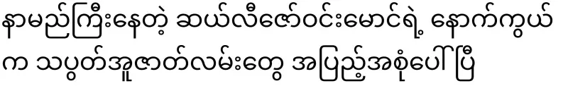 The full story behind the famous Sally Zaw Win Maung has appeared