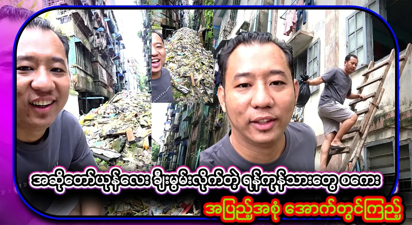 A little singer rabbit has now praised the Yangon Tarangan people scale