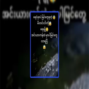 The light fish that can be seen in the Inya Lake is only found in the water