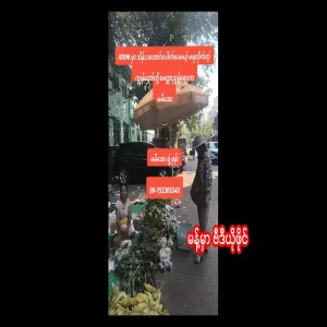 It cost 1000,000,000, but I didn't get it