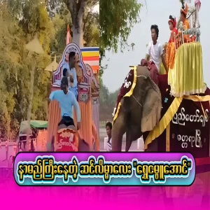 The full video about the elephant that became a reality due to these actions