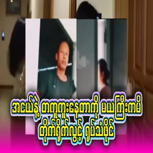 Full video file of the older one following the younger one living with the younger one