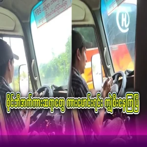 Wi-B car teachers are riding buffalo while driving