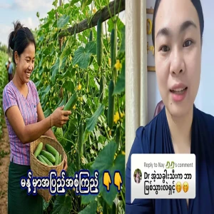 What happened to the woman in Myanmar who was left with half a cucumber?