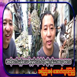 A little singer rabbit has now praised the Yangon Tarangan people scale