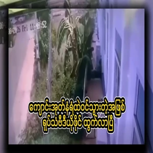 Video footage of the high-speed car entering the school's brick wall has been released